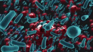 Kan damarları üzerinde dönen DNA yapısı ve siyah zemin üzerinde yüzen covid-19 hücreleri. covid-19 koronavirüs salgını konsepti
