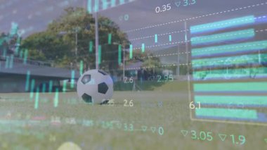 Oyuncu tekme tokat geri çekilirken futbol sahasında spor analitik grafiklerinin titremesine neden oluyor. Atletik, duyarlılık, rekabet, teknoloji, açık hava, dinamik, performans