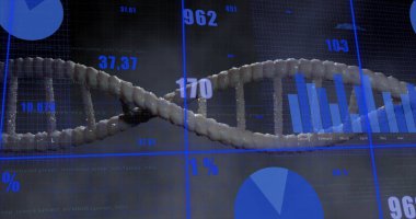 Laboratuvar ızgarası içinde mavi çubuk ve turta grafikleriyle bükülmüş 3 boyutlu DNA sarmalı gösteriliyor. Biyoteknoloji, analitik, fütüristik, bilimsel, yenilik, dijital, sağlık