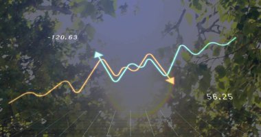 Orman tepe örtüsünün üzerinde, sayısal etiketler, şebeke düzlemi ve lens fişeği ile işaretlenmiş bir çizgi grafiği gösteriliyor. Doğa, veri görselleştirme, açık hava, soyut, teknoloji, analiz, büyüme