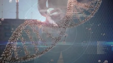 Kafkas erkek sporcunun orta kesiminde DNA ve veri işleme animasyonu. İnsan anatomisi, bilim, spor ve eğitim konsepti dijital olarak oluşturulmuş video.