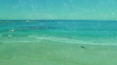 Daha derin okyanusa doğru yüzmeden önce turkuaz su küreklerinden çıkan foklar. Deniz, sahil, sakin, doğal, su, manzara, vahşi doğa.