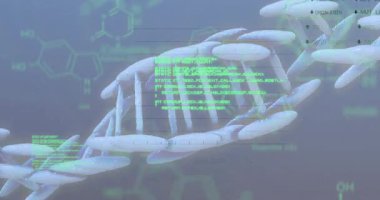 Veri işleme ve iki göz üzerindeki bağlantı ağının animasyonu. Küresel iş dijital arayüzü teknolojisi ve dijital olarak oluşturulan ağ konsepti.