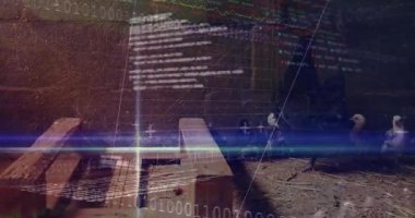 Kümesteki tavuk üzerinde veri işleme animasyonu. hayvanlar ve dijital arayüz konsepti dijital olarak oluşturulmuş video.