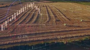 Şebeke üzerinde finansal veri işleme animasyonu. Küresel tarım işi dijital arayüz teknolojisi ve dijital olarak üretilen ağ konsepti.