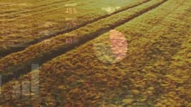 Tarım alanında finansal veri işleme animasyonu. Tarım sektörü ve doğa kavramı.