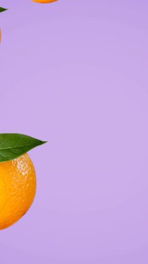 Mor arka planda yüzen tek portakalların animasyonu. tropikal meyve, refah, yaz ve tatil konsepti dijital olarak üretilen video.