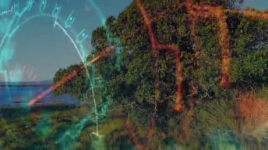 Initial HUD overlays sliding left while fading out to reveal vibrant mangrove forest and calm sea. Technology, marine, ecological, nature, visualization, environmental, aquatic