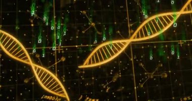 Karanlık şebeke açılışı ve ortaya çıkan altın sarmal, genetik verileri takip eden noktalı kavisler. Fütürist, dijital, moleküler, veri, şifreleme, teknoloji, ağ