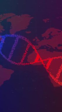 DNA iplikçiklerinin dönüşünün animasyonu ve dünya haritasında bağlantılar. küresel bilim, araştırma ve veri işleme kavramı dijital olarak oluşturulmuş video.