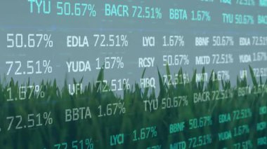 Olay yerinde çim alanı üzerinde başlangıç, canlı yayın için her saniye güncelleme yüzde değerleri üst üste biner. Futuristik, teknoloji, veri görselleştirme, doğal manzara, dijital arayüz, soyut, ilerleme