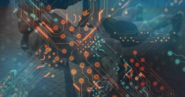 Spor salonunda spor giyim partnerleriyle devre kaplamalı şınav çekiyorlar. Fitness, teknoloji, işbirliği, yenilik, güç, modern, sağlıklı