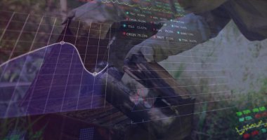 Arka bahçedeki kovan kutusunu kaldırırken eldiven takan kıdemli arı yetiştiricisi. Havacılık, bahçecilik, analitik, teknoloji, sürdürülebilirlik, açık hava, doğa