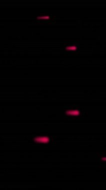 Siyah arkaplanda hareket eden parlak kırmızı ışık izlerinin canlandırması. Renk, şekil, ışık ve hareket konsepti dijital olarak oluşturulmuş video