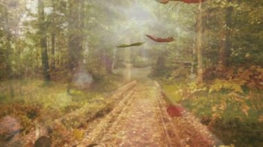 Güneş ışığı yaprakların süzülmesine ve sonbaharı gösteren bir girdap oluşturmasına neden oluyor. Doğa, sükunet, mevsimlik, vahşi doğa, dinginlik, manzara, açık hava