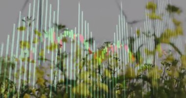 Çiçekli çayır, enerji verilerini görüntüleyen türbinler gibi titreşen veri çubuklarıyla ortaya çıkıyor. Doğa, yenilenebilir, sürdürülebilirlik, çevre, teknoloji, büyüme, manzara