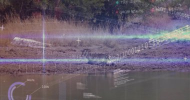 Yalnız bir yaban domuzu çamurlu su birikintisi, kuru otlar üzerinde dijital veri örtüleri sergiliyor. Vahşi yaşam, teknoloji, yenilik, doğa, veri görselleştirme, biyomimikri, çevre