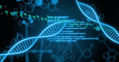 Sahne açılışı DNA sarmalları dönüşümlü olarak başlatılıyor kod ve parçacıklar analiz için kırılıyor. Biyoteknoloji, moleküler, geleceksel, dijital, bilim, yenilik, görselleştirme