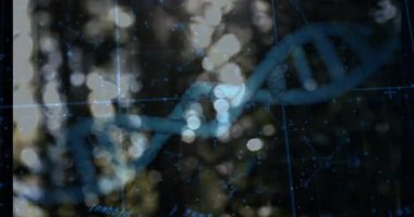 Başlangıçta mavi DNA sarmalı merkeze girer ve analiz etmek için ağ çizgilerini döndüren veri düğümleri ekler. Gelecekçi, yenilikçi, teknoloji, veri görselleştirme, bağlantı, dijital, soyut