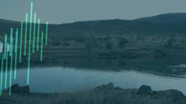 Kısa bir durgunluktan sonra dijital çubuklar büyüyüp büyüdükçe sakin göl üzerinde görselleştirme verileri genişliyor. Soyut, veri görselleştirme, hareket grafikleri, çevre, dijital sanat, sakin, renkli