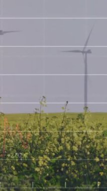 Rüzgâr türbinleriyle alanın üzerinde şema ve veri işleme animasyonları. Küresel iş, doğa ve dijital arayüz kavramı, dijital olarak oluşturulmuş video.