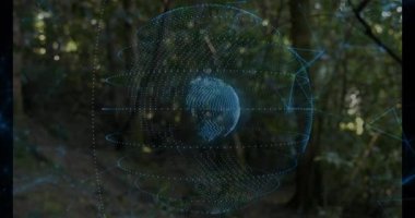 Üç boyutlu holografik küre, veri bağlantılarını gösteren hareket halindeki düğümlerle ormanda maddeleşiyor. Teknoloji, yenilik, dijital, fütüristik, çevre, görselleştirme, soyut