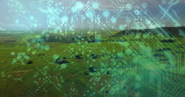 Kırsal kesimlerdeki ağaçlarla tarlaların görüntülenmesi, devre ve dijital düğümlerin örtülmesi. Tarım, teknoloji, bağlantı, kırsal, yenilik, doğa, fütüristik