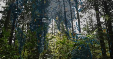 Altıgen şebeke hücreleri ve veri düğümleriyle sonsuz yeşil ormanın üzerinde süzülen dünya haritası. Coğrafi, çevresel, bağlantı, veri görselleştirme, doğa, eko, teknoloji