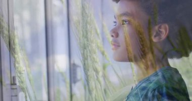 Çimen sapları tarafından camdan dışarı bakan çocuk eğitim için cama boş kağıt koyuyor. Dalgınlık, keşif, merak, doğal ışık, uyum, çocukluk, yaratıcılık