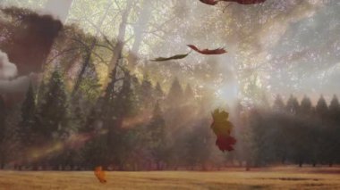 Hafif bir esinti, sonbahar animasyonu için sisli çayırlarda sürüklenen ve yuvarlanan renkli yapraklar gönderir. Doğa, sükunet, mevsimlik, hareket, manzara, sükunet, pastoral