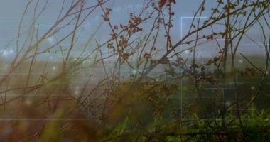 Çerçeveyi dolduran otlar ve dallarla dizi açılışı, HUD taraması, ortaya çıkan kuleleri tanımlama. Fütüristik, teknoloji, izleme, dijital arayüz, doğa, kentsel, soyut