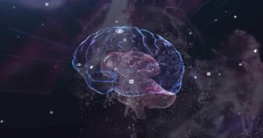 3 boyutlu beyin modelini açmak, lobları açmak, veri simgelerini hizalamak, yapıları görselleştirmek. Nörobilim, görselleştirme, dijital, soyut, teknoloji, yenilik, araştırma