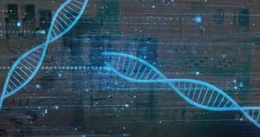 Sürüklenen, parlayan mavi DNA sarmalları birbirine kenetlenen, ayrılan, dönen görselleştirilmiş veriler. Biyoteknoloji, yenilik, dijital, gelecekçi, bilimsel, moleküler, teknoloji