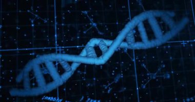 Sürüklenen DNA sarmalı ızgarada dönüyor, altıgen örtüleri görünüyor ve modelleme için titreşen düğümler. Moleküler, biyoteknoloji, bilimsel, yenilikçi, görselleştirme, algoritma, gelecekçi
