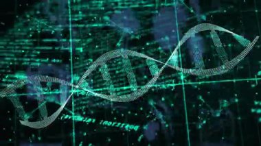 Şebeke kodunda yüzen DNA sarmalını başlatan dizi genetik haritayı görselleştiren düğümleri birbirine bağlıyor. Biyoteknoloji, veri görselleştirme, moleküler bilim, dijital ağ, bilimsel illüstrasyon, geleceksel, yenilikçi