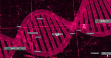 Pembe DNA sarmalını ızgara üzerine açıyorum. Kimlik kaydırma imleci seçiyorum. Kimliklerin titreşim düğümlerini göstererek kimlik seçiyorum. Biyoteknoloji, veri görselleştirme, dijital, fütüristik, yenilik, bilimsel, teknoloji