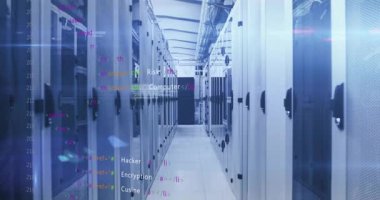 Statik başlangıç kodu kırıntıları siber güvenlik ağı terimlerini gösteren raflarda kayboluyor. Teknoloji, siber güvenlik, veri koruması, ağ, altyapı, dijital, koruma