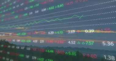 Şafakta şeffaf kalp atışı grafiği yükselirken kuş tepelerde süzülürken pazar eğilimini gösteriyor. Gelecekçi, analitik, veri görselleştirme, huzur, yenilik, teknoloji, yenilenebilir