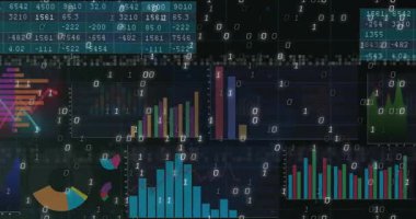 Sayısal gösterge paneli çizelgeleri tutuyor ve sonra grafiklerin güncellenip bulanıklaştığını gösteren ikili akış elde ediyor. Teknoloji, analitik, görselleştirme, veri, arayüz, kodlama, yenilik