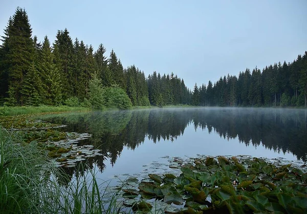 Forrest Pond German Ore Mountains Червня 2020 — стокове фото