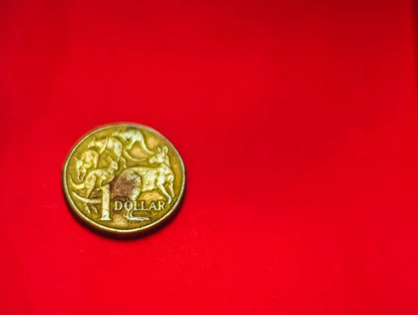 Australian dollar coin front isolated on red background with soft blurry and space for copy text. One dollar coin 1995 Australian currency. Old coins collections worldwide.