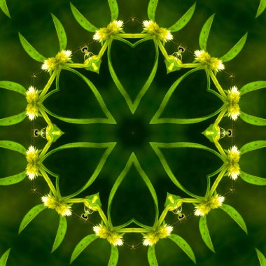 Soyut renkli çember tasarımı geometrik kusursuz model arkaplan. Eşsiz renkli daire logosu. Kusursuz desenli, geometrik şekilli zarif şekiller. Renkli seramik karolar duvar süslemesi.