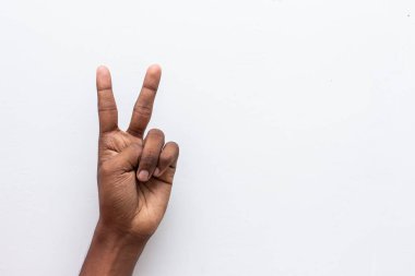 Erkek eli beyaz arka planda izole edilmiş iki numaralı jest sembolünü gösteriyor. İki numaralı hareket. İşaret dilinde iki numara. İki konsept sayıyorum. İki parmak yukarı. Adam el işareti zafer işareti.