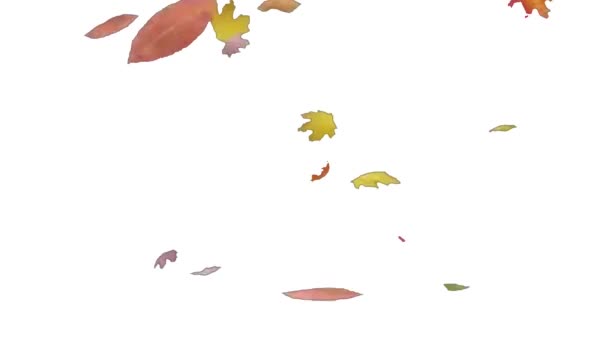 Streszczenie Leaf Falling Bezszwowa Pętla Alpha Channel Loop Animation Streszczenie — Wideo stockowe