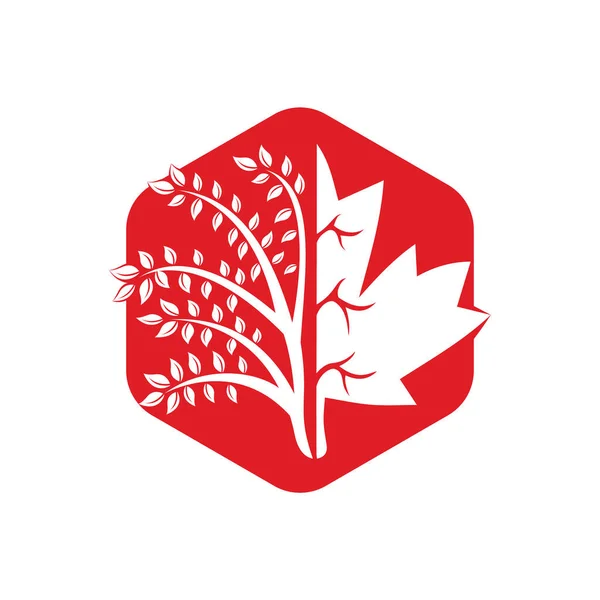 Creatieve Boom Esdoorn Bladeren Logo Ontwerp Bedrijfsteken Canada — Stockvector