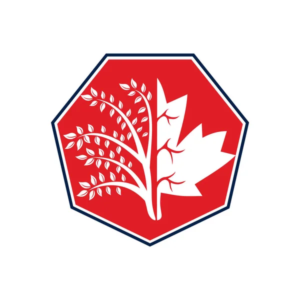 Creatieve Boom Esdoorn Bladeren Logo Ontwerp Bedrijfsteken Canada — Stockvector