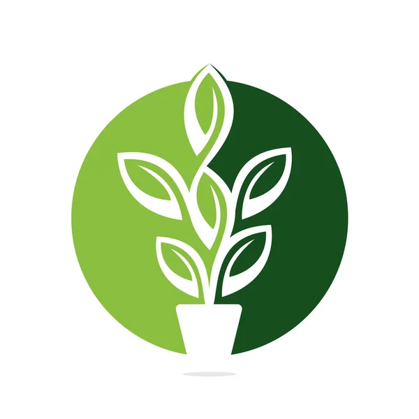 Virágcserép Növény Vektor Illusztráció Design Zöld Fazekas Logó Tervezése — Stock Vector