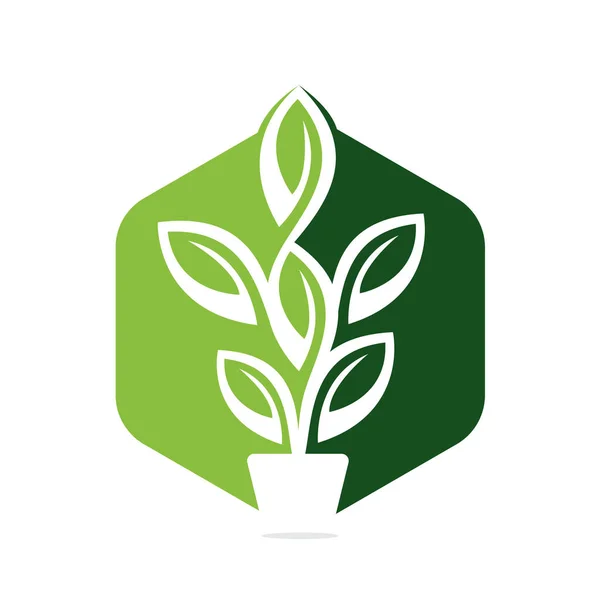 Flores Maceta Maceta Vector Diseño Ilustración Árbol Verde Diseño Logotipo — Archivo Imágenes Vectoriales