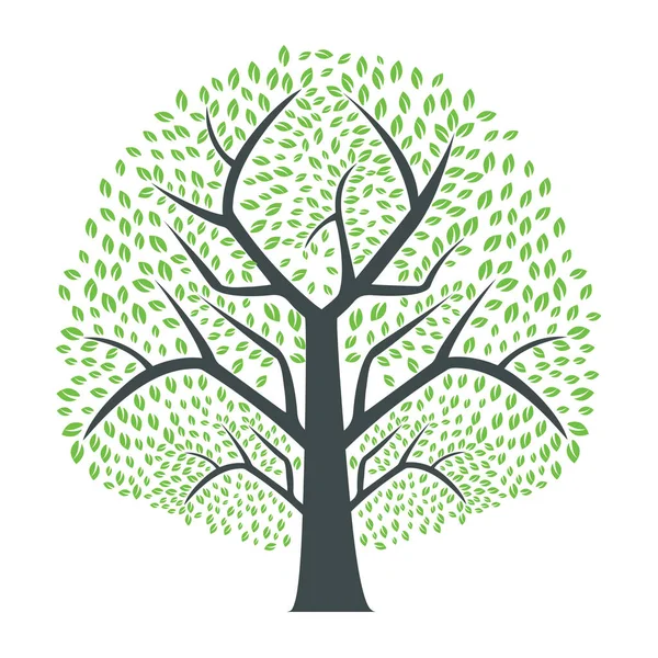 Diseño Plantilla Vector Árbol Verde Pesado Árbol Vector Diseño — Vector de stock