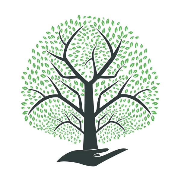 Árbol Mano Diseño Del Logotipo Vector Logo Productos Naturales — Vector de stock